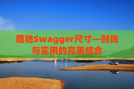 蔻驰Swagger尺寸—时尚与实用的完美结合