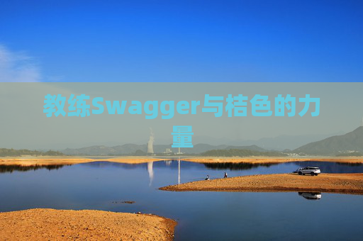 教练Swagger与桔色的力量