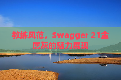 教练风范，Swagger 21金属灰的魅力展现