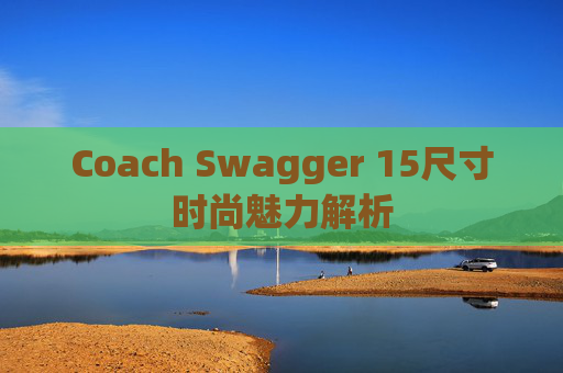 Coach Swagger 15尺寸时尚魅力解析
