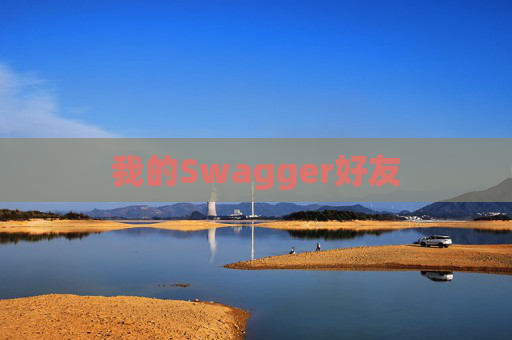 我的Swagger好友