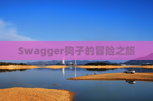 Swagger狗子的冒险之旅